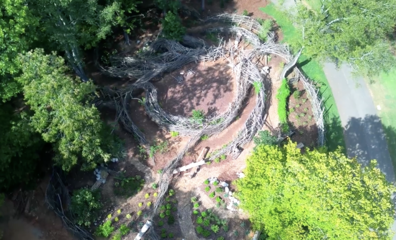 Aerial view of Mother Earth Troll Garden maze