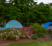 tents 2