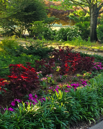 Lush garden beds with flowers, colorful flowers, and trees