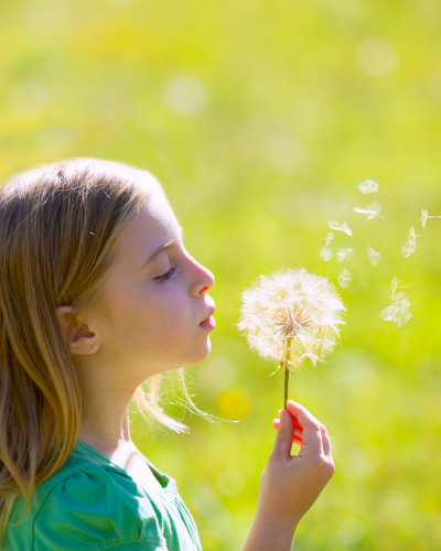 Girl blows seeds from a plant
